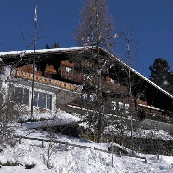 Grindelwald Youth Hostel, hotel din Grindelwald