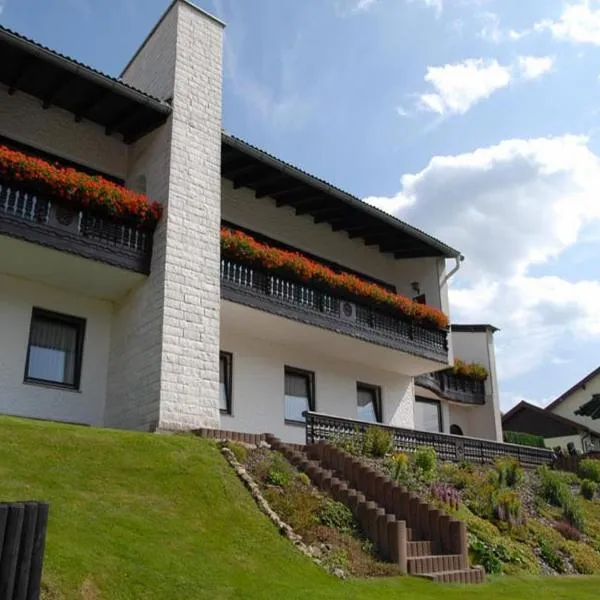 Pension Haus Wanninger, Hotel in Warmensteinach