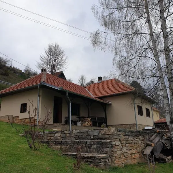 Kuća za odmor - Martić, Rudno, Golija, готель у місті Кралєво