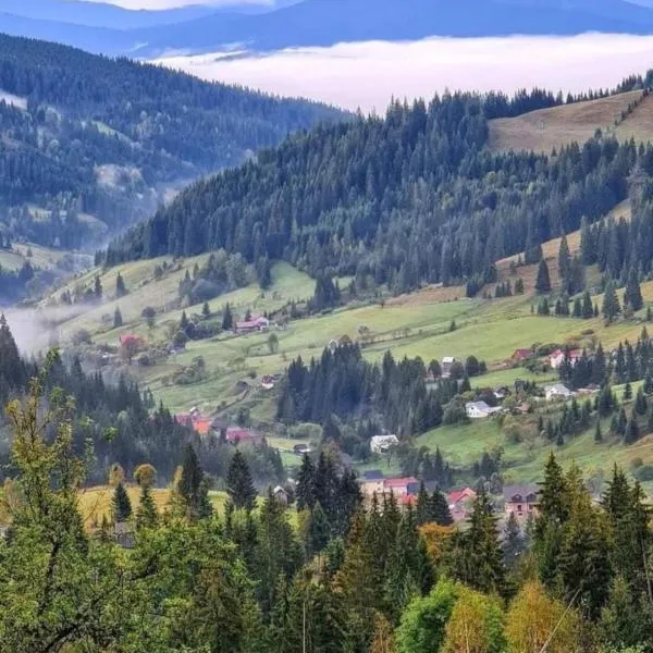 Pensiunea Casa Fierarul din Bucovina, hotel di Putna