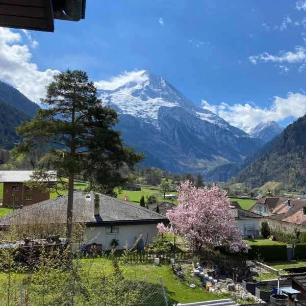 Amazing appartment in the middle of the nature, hotel di Disentis