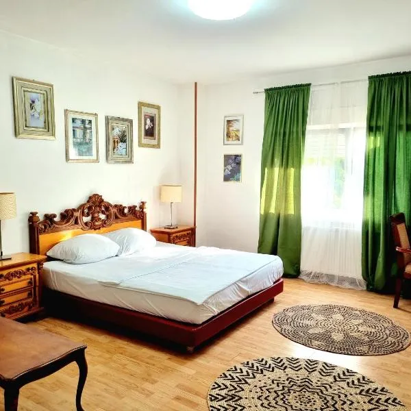 Rooms Villa Luigi – hotel w mieście Pančevo