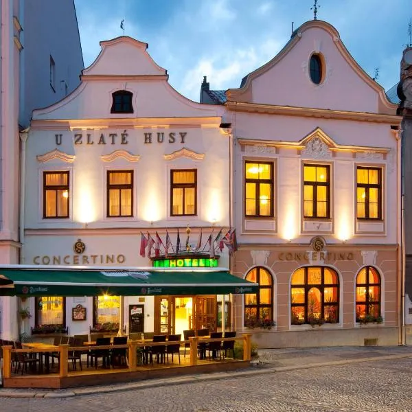 Hotel Concertino Zlatá Husa: Jindřichŭv Hradec şehrinde bir otel