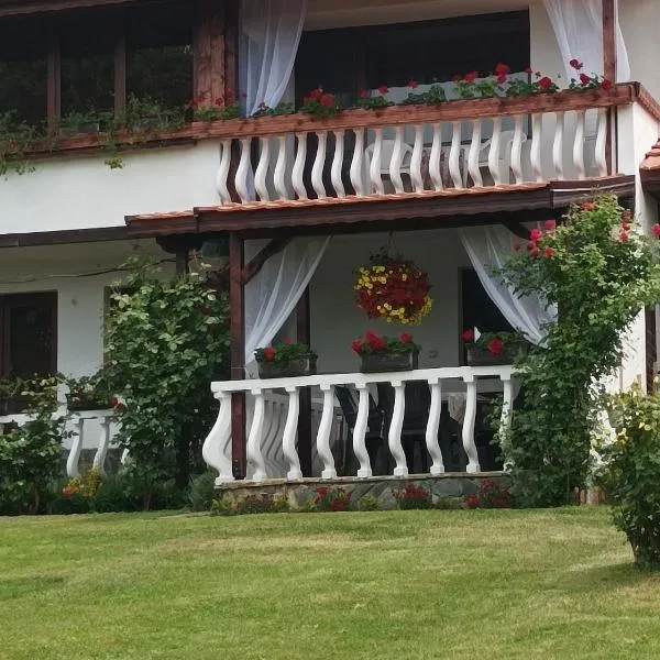 Guesthouse Dida, hotel Sapareva banya