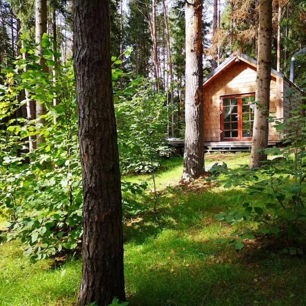 Private cosy forest cabin, Hotel in Molėtai