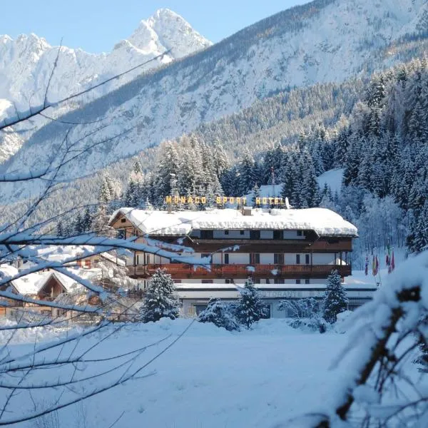 Monaco Sport Hotel, ξενοδοχείο σε Santo Stefano di Cadore