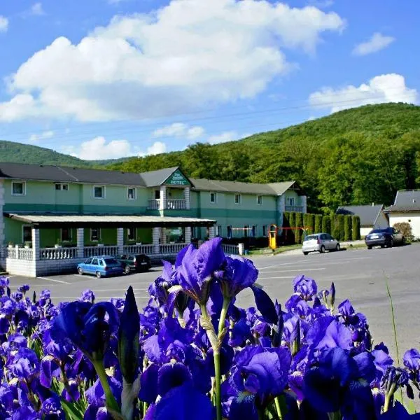 Hotel Biele Studničky Dargov, Hotel in Vranov nad Topľou