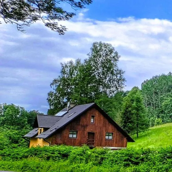 Apartmán u Ještěrky se saunou v ceně, Rejvízská 29, Jeseník: Jeseník şehrinde bir otel