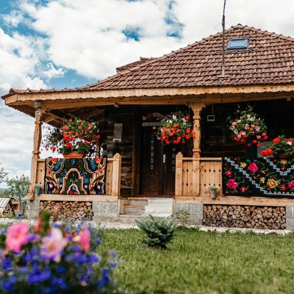 Casa de la Pârâu, hotel di Vişeu de Sus