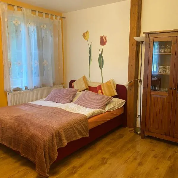 Alba Apartmany Železná Ruda, hotel a Železná Ruda