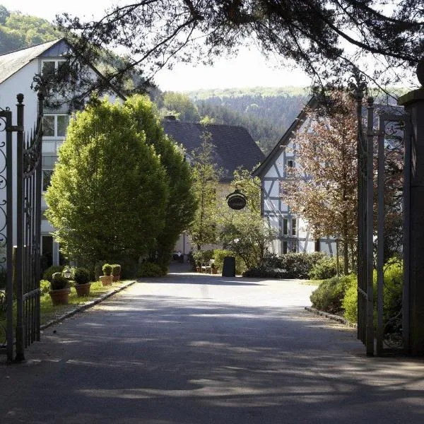 Hotel Freimühle, hotel Limburg an der Lahnban