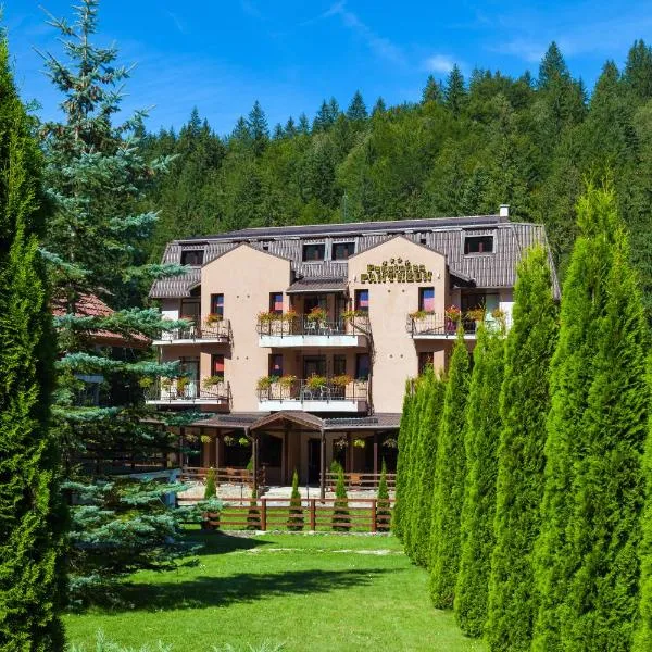 Pension Pantheon, hotel i Poiana Brasov