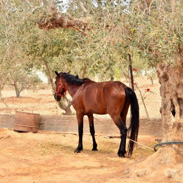 Ranch Tanit Djerba, отель в Хумт-Суке