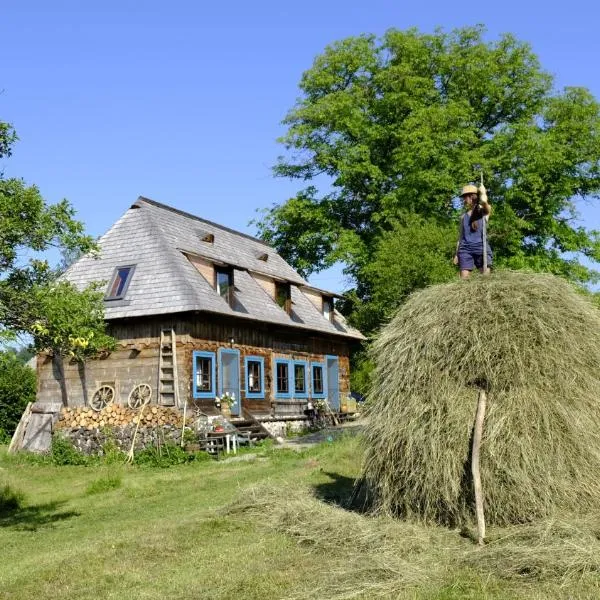 Small Apartment in Breb s Cosy Barn, hotel em Ocna Şugatag