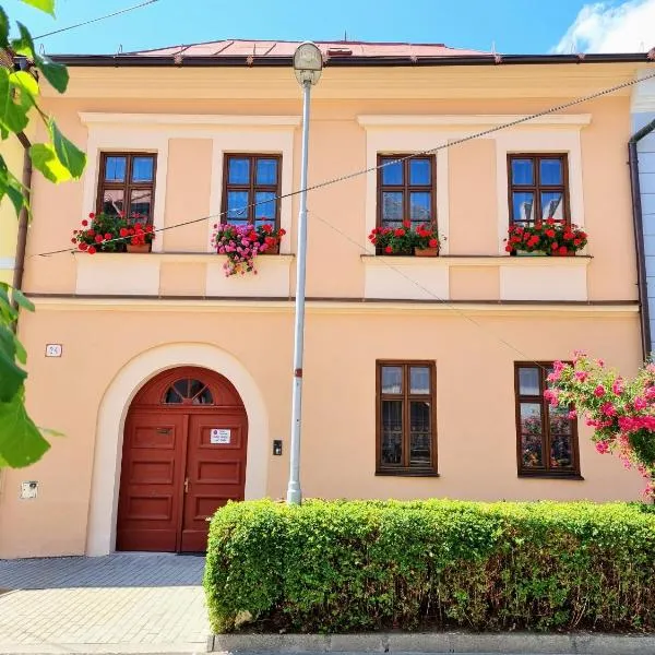 Apartment in a historical house in the center of Levoča, hotel u gradu 'Levoča'