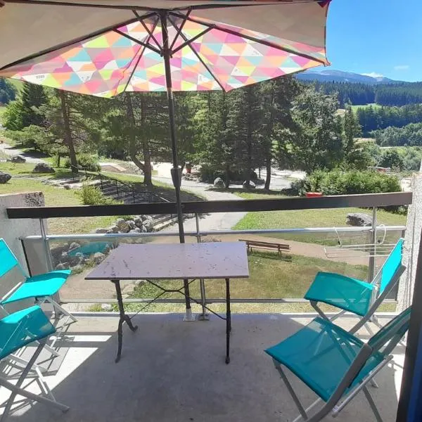 Un air de Bretagne à la montagne-STUDIO AVEC BALCON, hotel in Villard-de-Lans