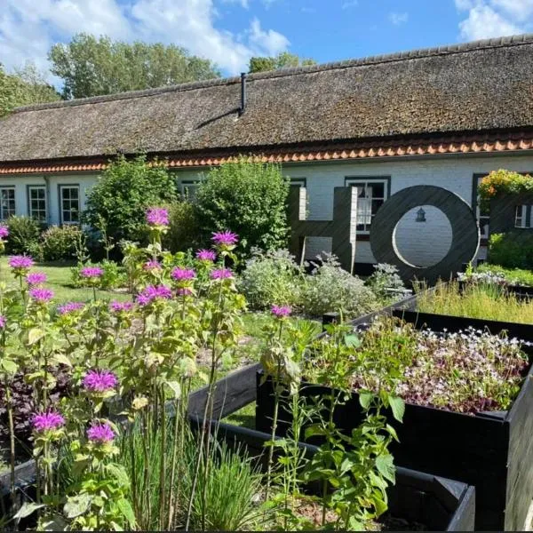 Hof Aan Zee, hôtel à Dishoek