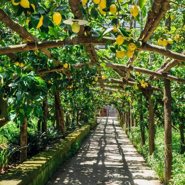 Agriturismo Il Giardino di Vigliano，索倫托的飯店