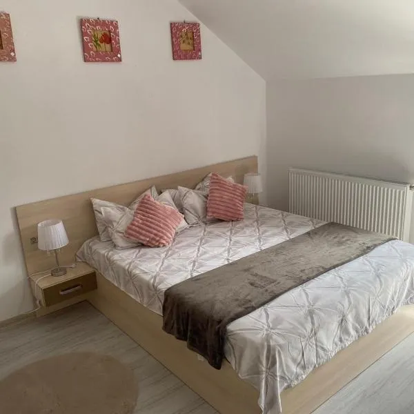 Rebeca Apartament, ξενοδοχείο σε Lugoj