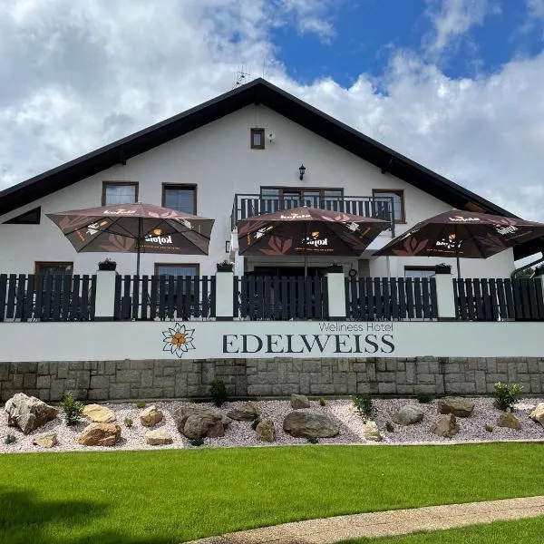 Wellness Hotel Edelweiss, отель в Либерце