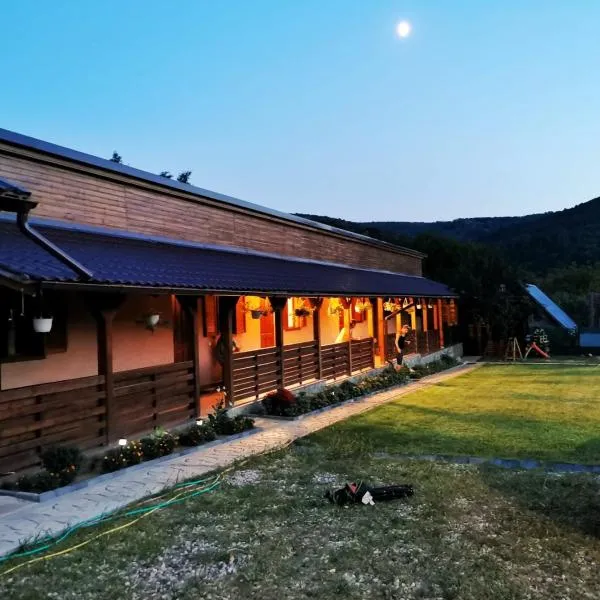 Casa Borcean 2, hotel din Sasca Montană