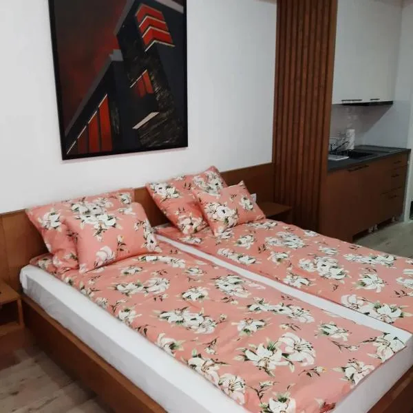 Apartment Mašić, hotelli kohteessa Sombor