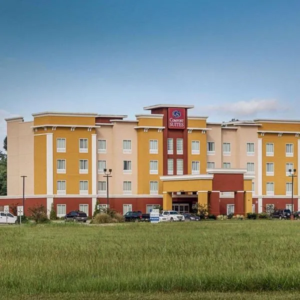 Comfort Suites near Tanger Outlet Mall, hotel en Gonzales