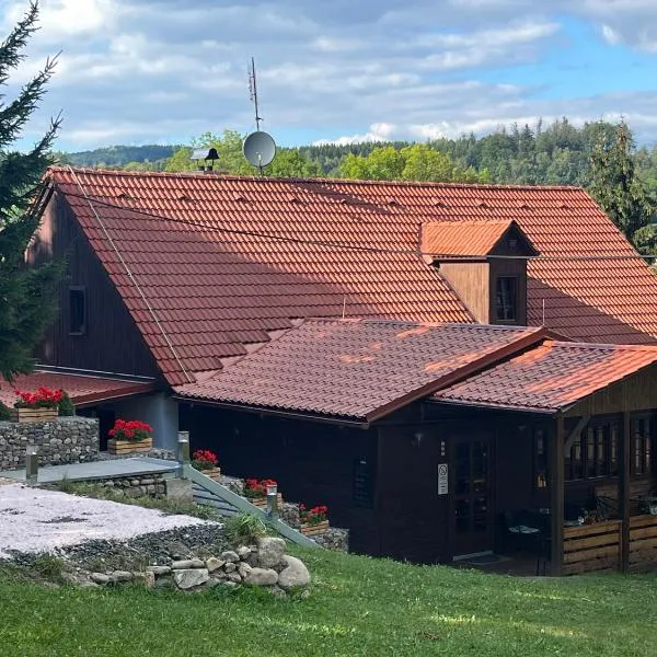 PENZION HARRY na sjezdovce KRKONOŠE, hotel em Vysoké nad Jizerou