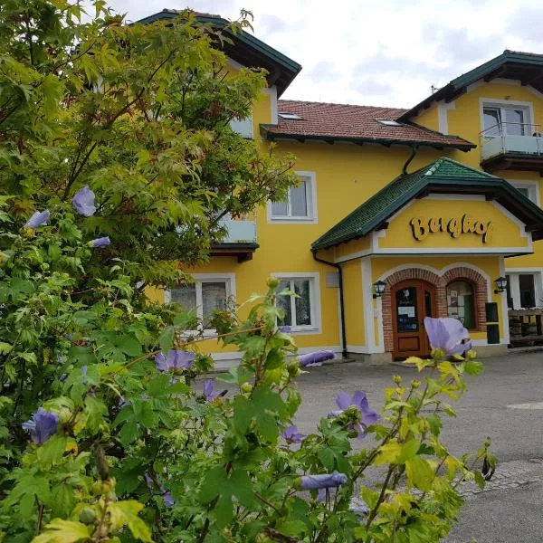 Pension Baumgartner-Berghof, отель в городе Гайнберг