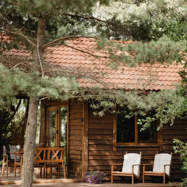 Beržų namelis - Birch cabin: Lazdijai şehrinde bir otel