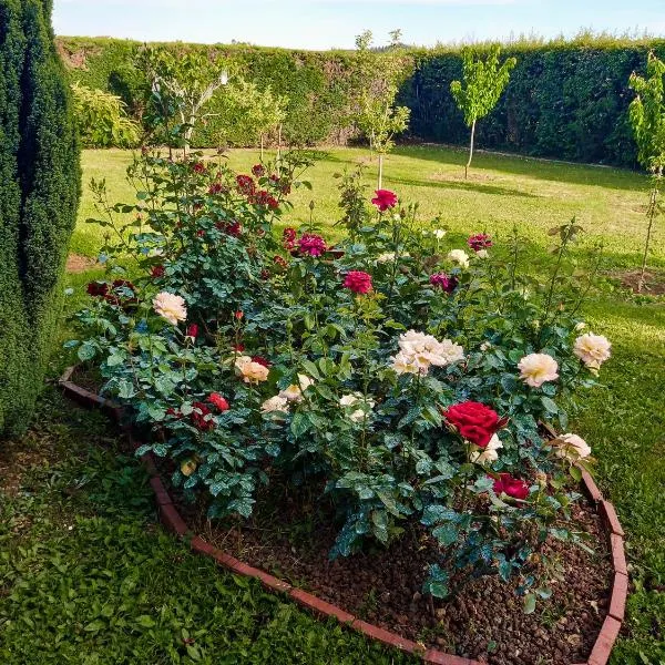 Sun Garden, hotel v destinaci Međugorje