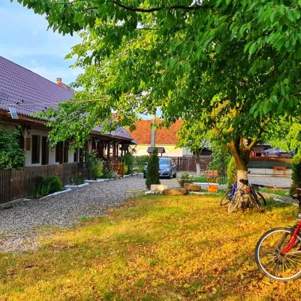 La Romaneasa, hotel em Săpînţa