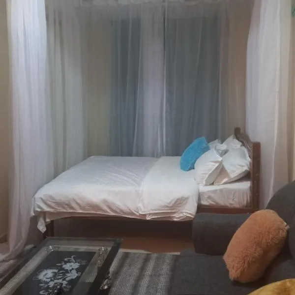 Woodgreek Studio Apartment 4B27, Hotel in Kisii