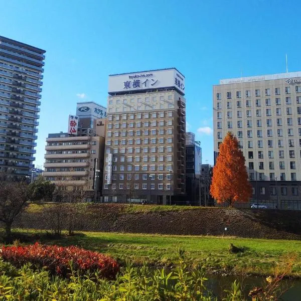 Toyoko Inn Morioka eki Minami guchi Ekimae, hotel in Morioka