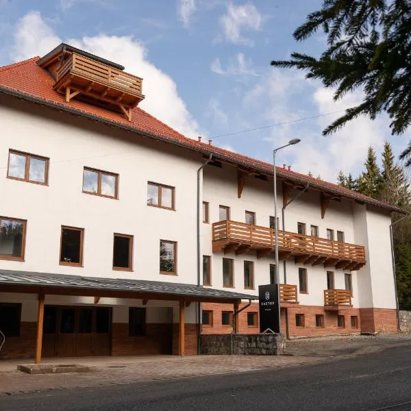 Castor, Hotel in Harghita-Băi