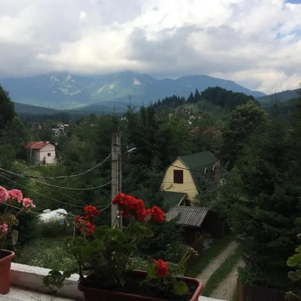 Casa Ardeleană Cheia, hotel u gradu Cheia