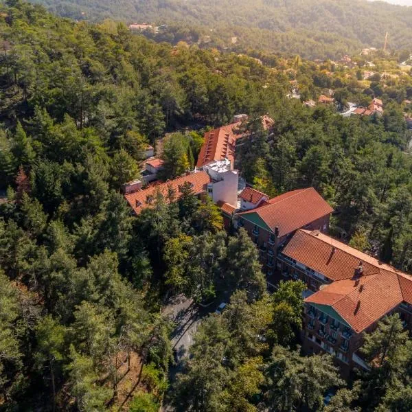 Forest Park Hotel, Hotel in Platres