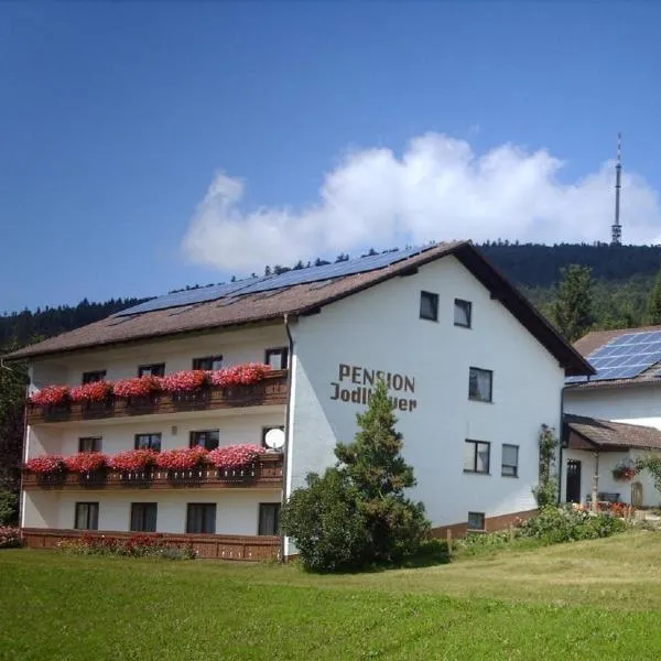 Pension Jodlbauer, hotel u gradu 'Deggendorf'