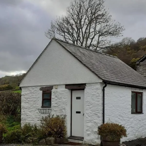 Y Llew Bach, the tiny house, hotel di Llanrwst