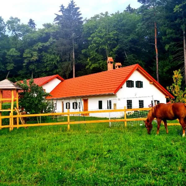 Turistična kmetija Hiša ob gozdu pri Ptuju, hôtel à Jiršovci