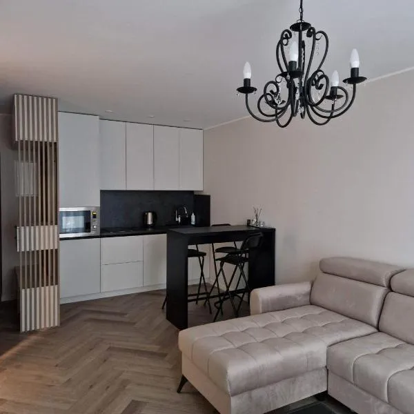 Parko nauji apartamentai, hotel en Panevėžys