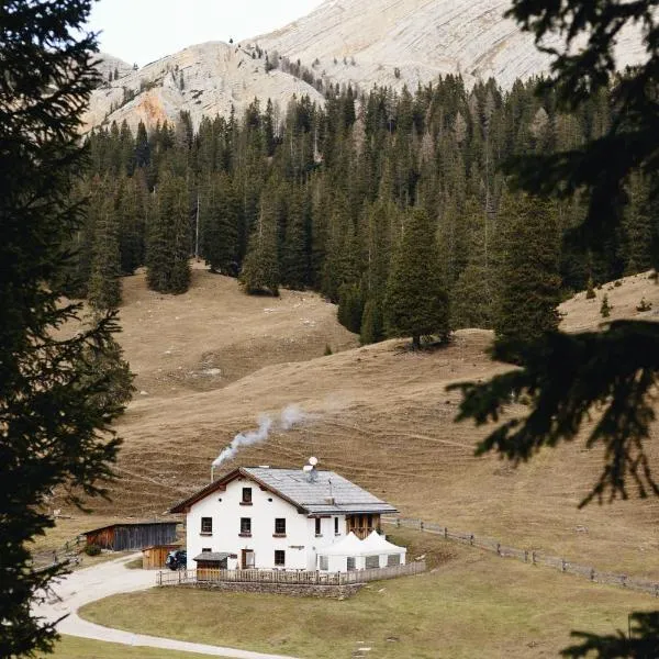 Rifugio Malga Ra Stua，位于科尔蒂纳丹佩佐的酒店