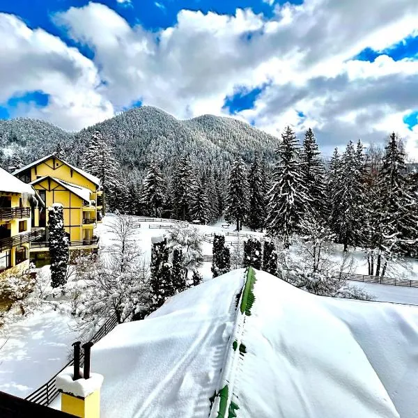 Hotel Casa Viorel, hôtel à Poiana Brasov