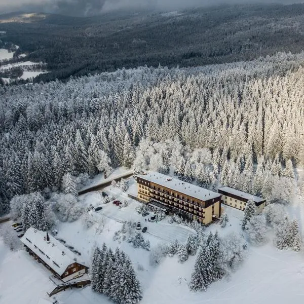 OREA Hotel Špičák Šumava, ξενοδοχείο σε Zelezna Ruda