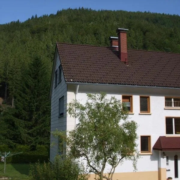 Haus Post OG-Wohnung, hótel í Todtnau