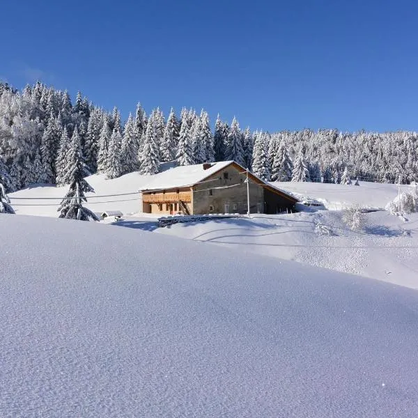 Gîtes Tré Le Grenier, hotel v mestu Ferney-Voltaire