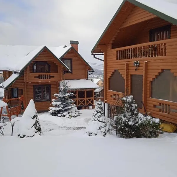 Вілла Олекси, hotel in Skhidnitsa