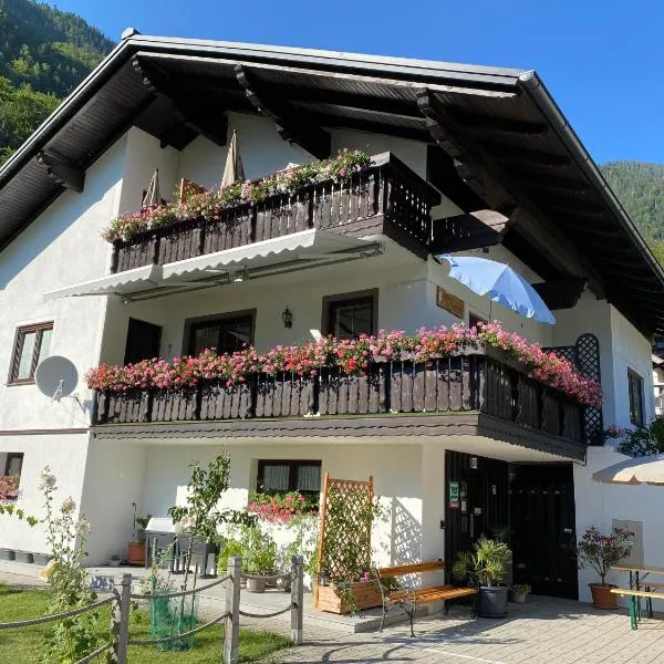 Haus Salzkristall, Hotel in Obertraun