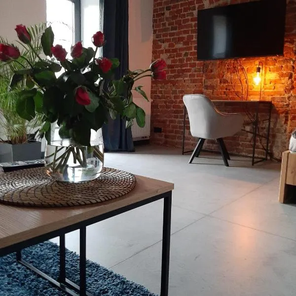 Apartamenty Gliwice Staromiejska 65, hotel u gradu 'Gliwice'