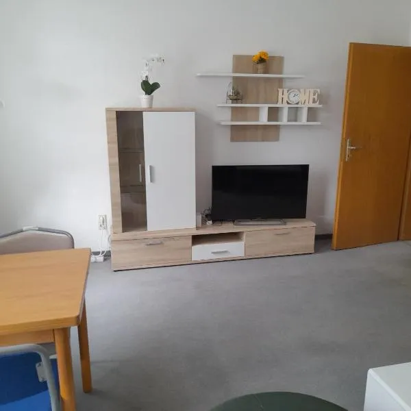 Schöne Wohnung für Monteure und sonstige Reisende, hotel a Zwickau